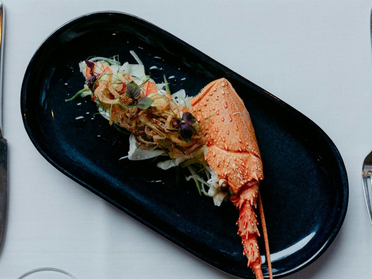 Chilled WA Lobster