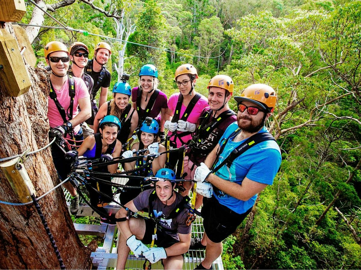 Canyon Flyer Guided Zipline Tour
