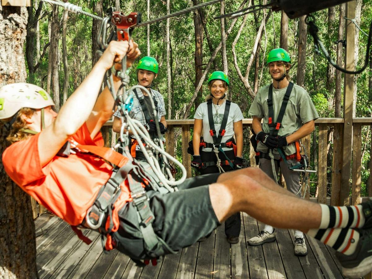 Our experienced tour guides will teach you everything you need to know!