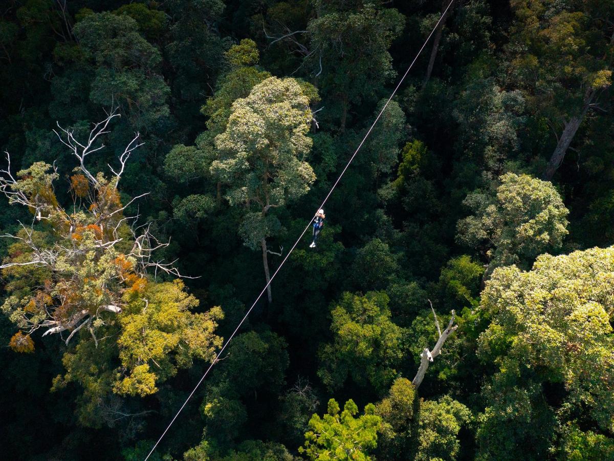 Soar across EPIC ziplines