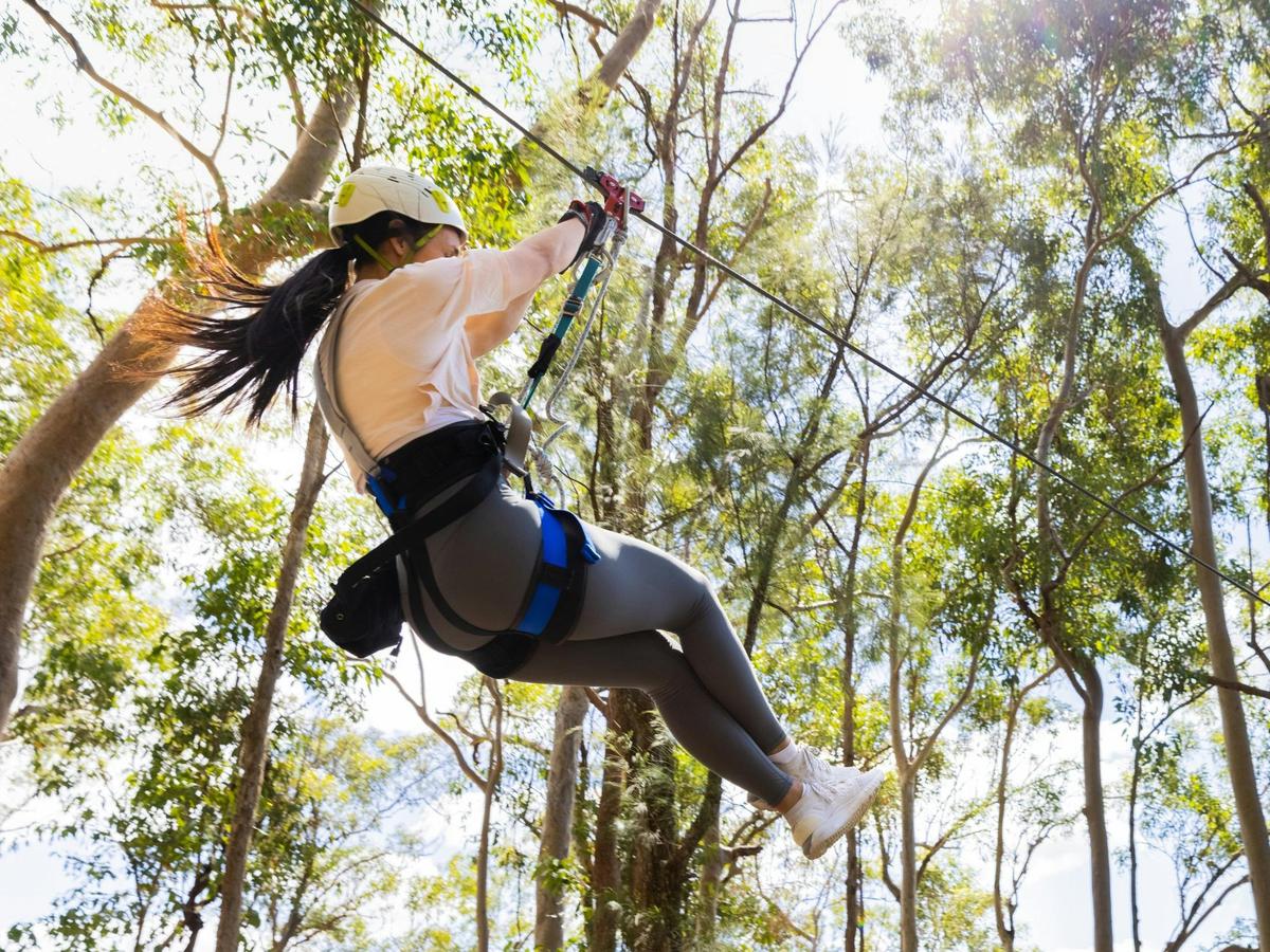 Thrilling Zipline Experience