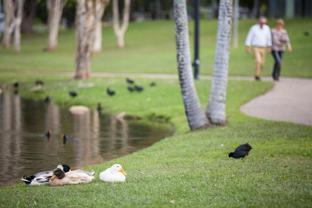Centenary Lakes Park, Caboolture
