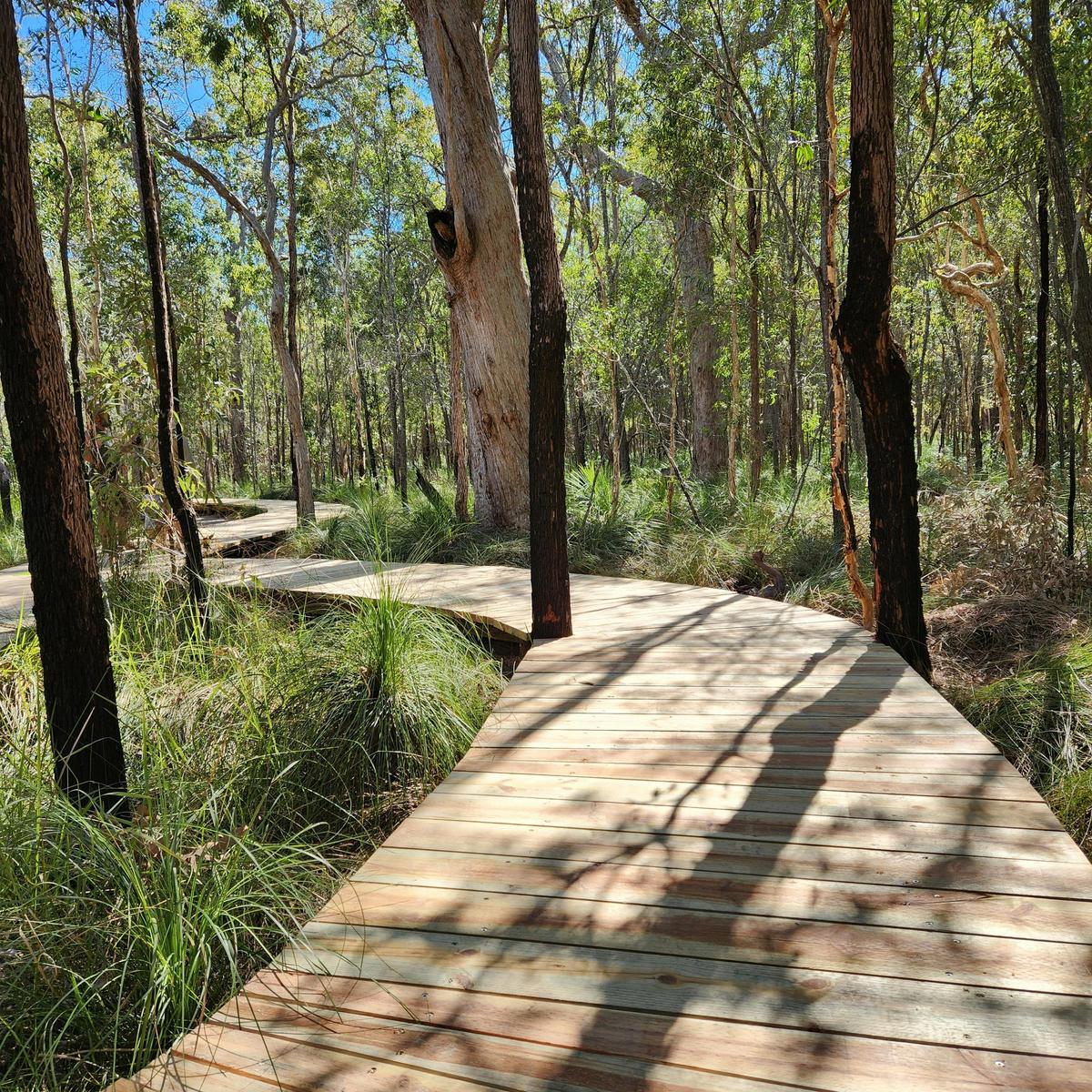 386 m long accessible boardwalk