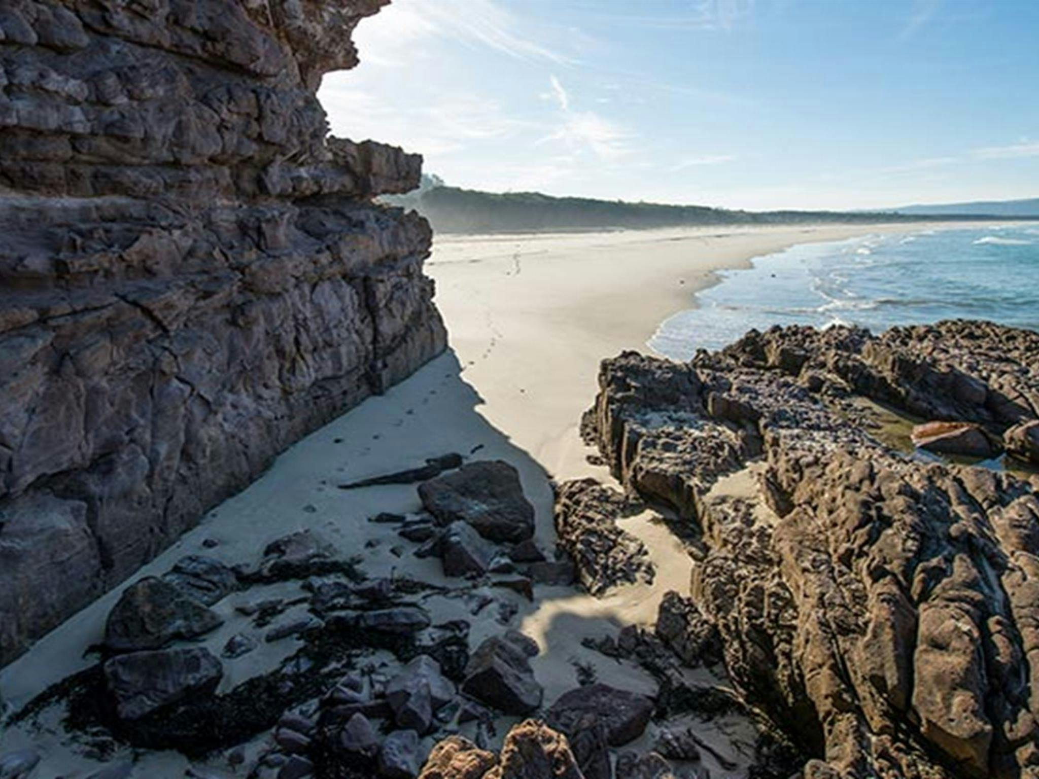 Greenglade, Nadgee Nature Reserve. Photo: J Spencer/OEH.