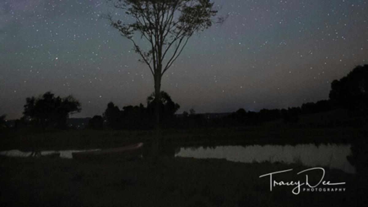 Magnificent milky way. Credit - Tracey Lee Photography