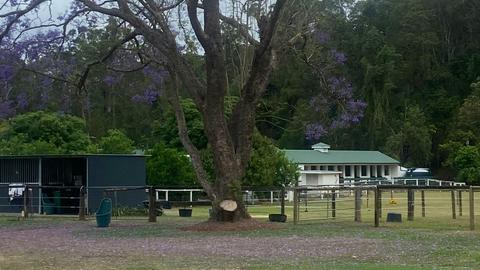 Carcary Farm