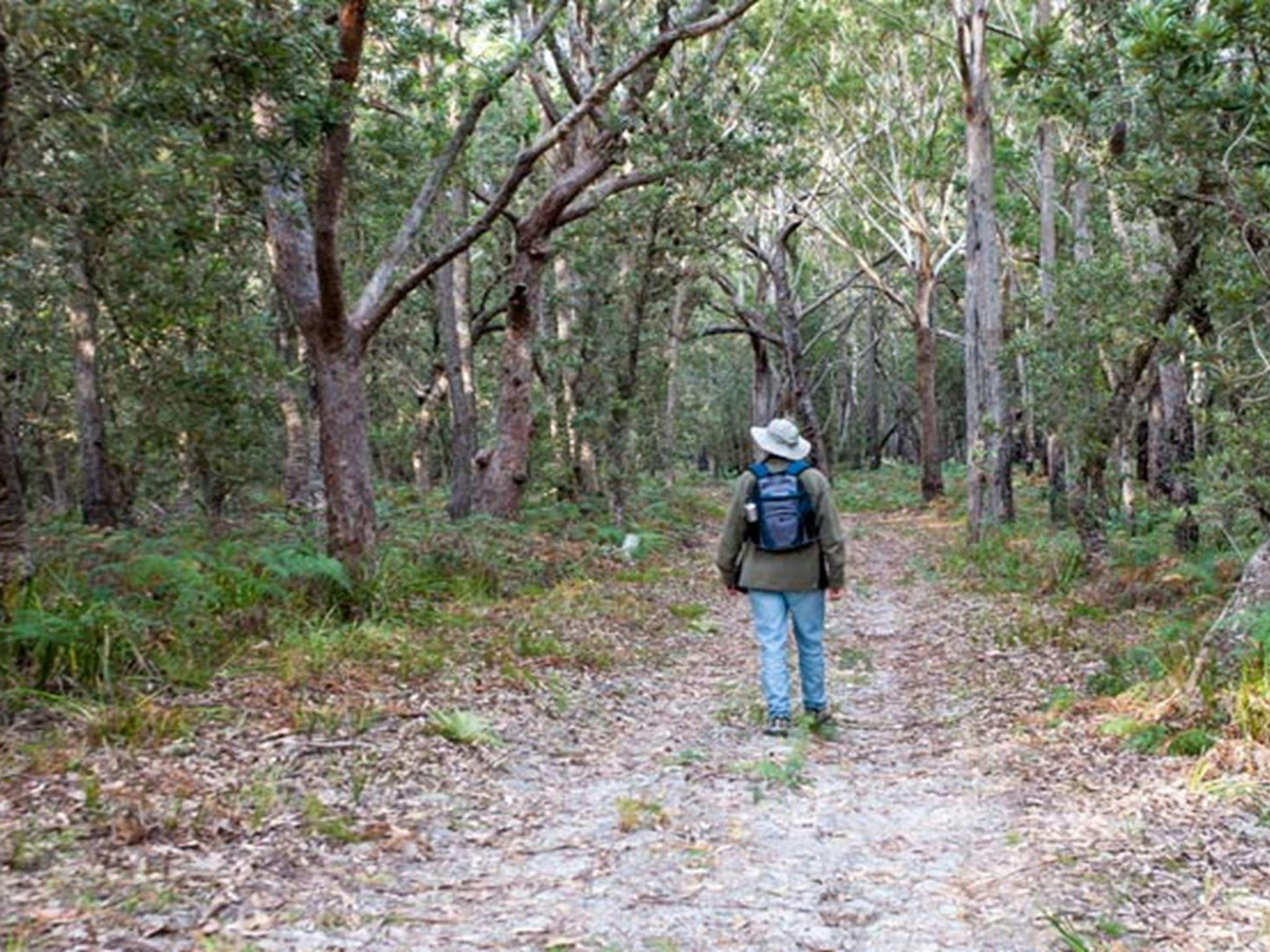 Narrawallee National Park. Photo: Michael van Ewijk &copy; DPIE