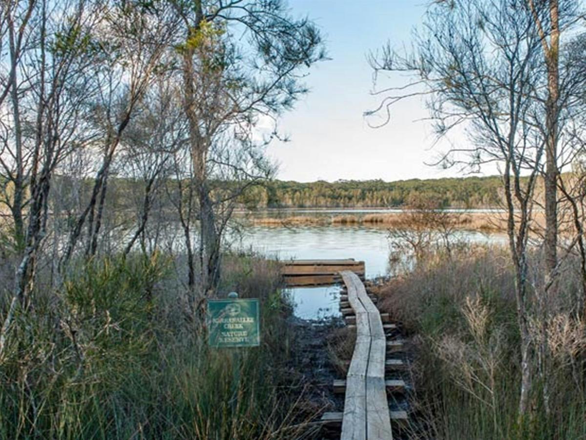 Narrawallee National Park. Photo: Michael van Ewijk &copy; DPIE