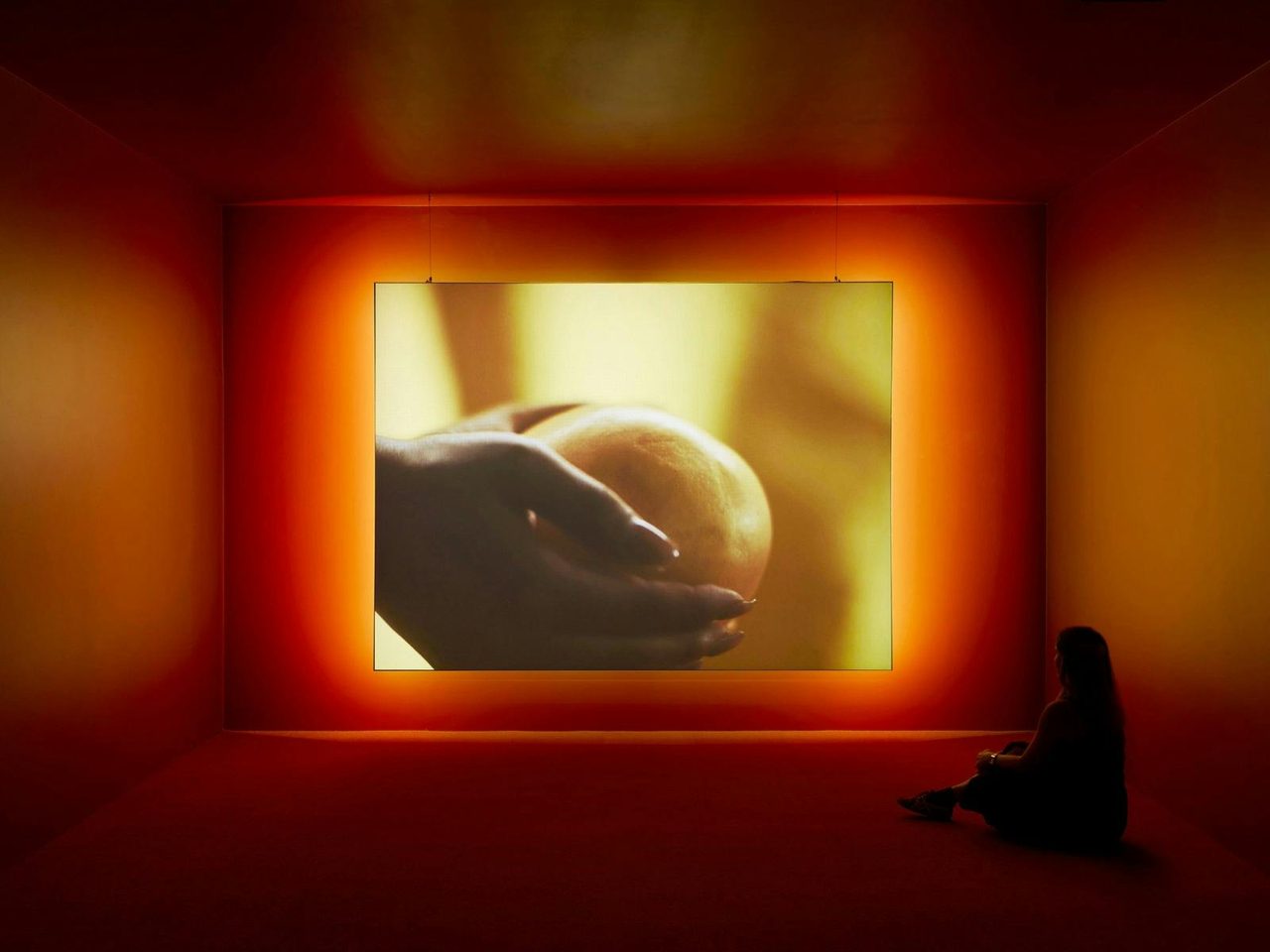 Monica Rani Rudhar, installation view, Primavera 2024: Young Australian Artists