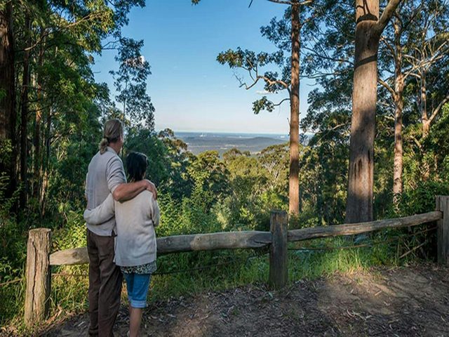 Muirs lookout