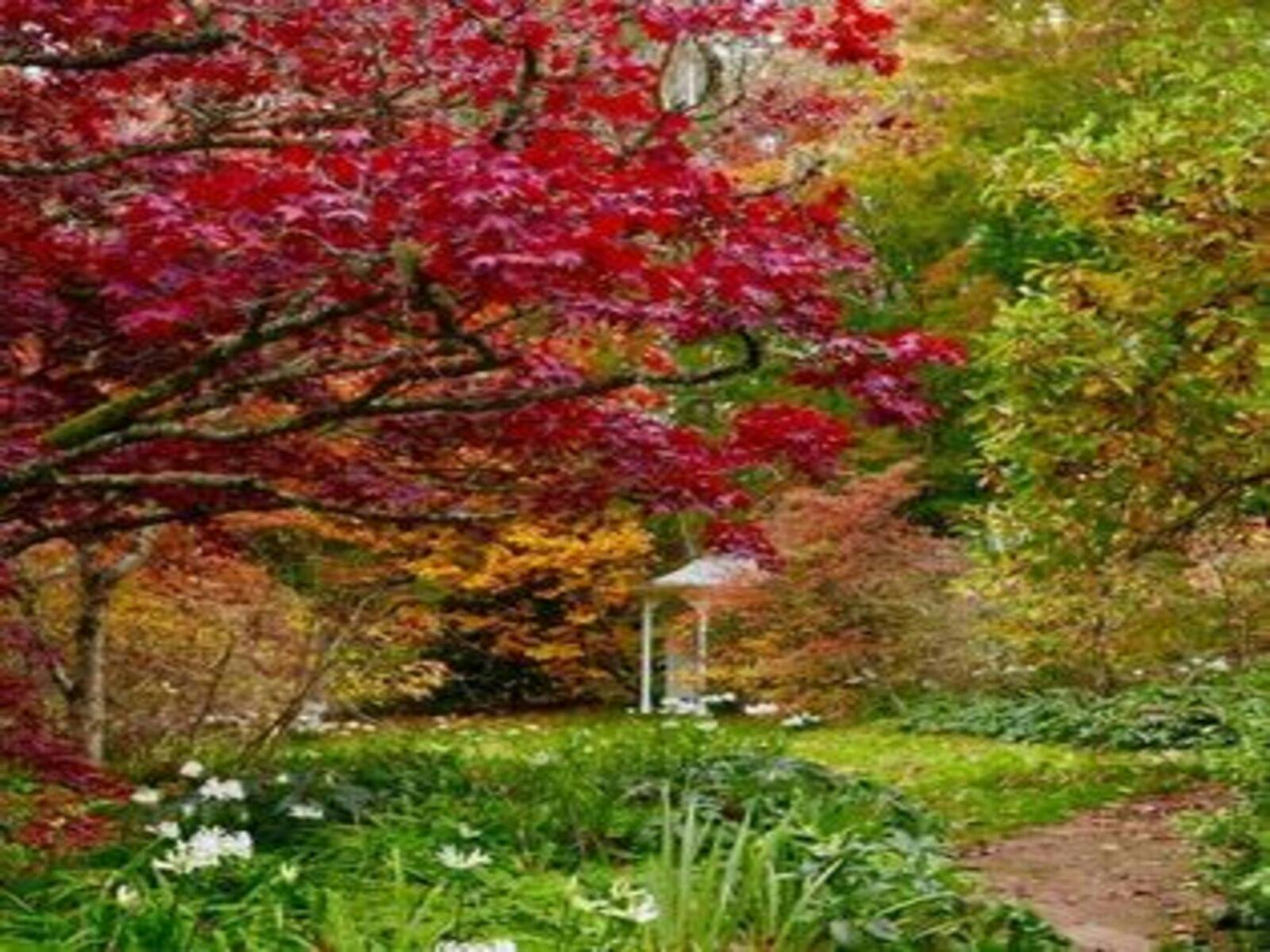 Nooroo Garden in Autumn