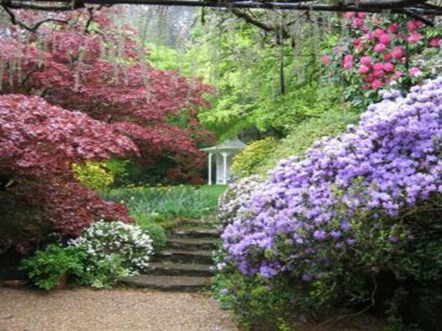 Nooroo Garden Mount Wilson