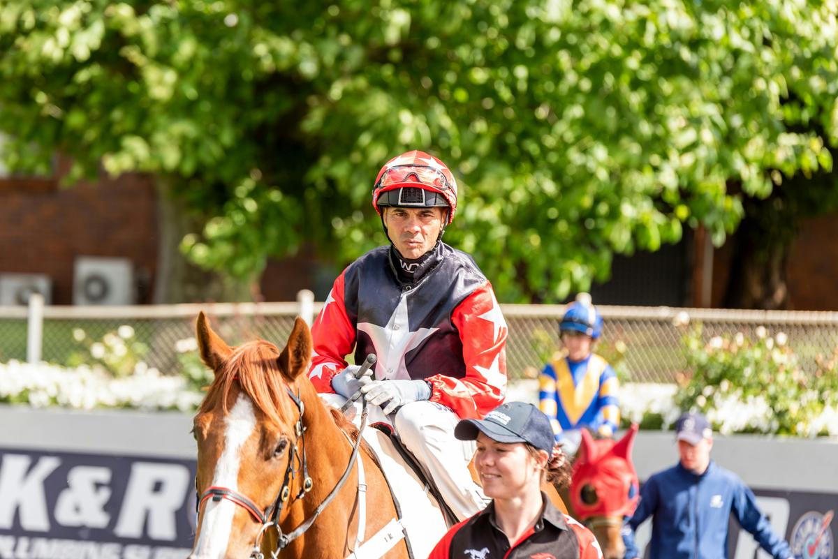 Clifford Park Racecourse