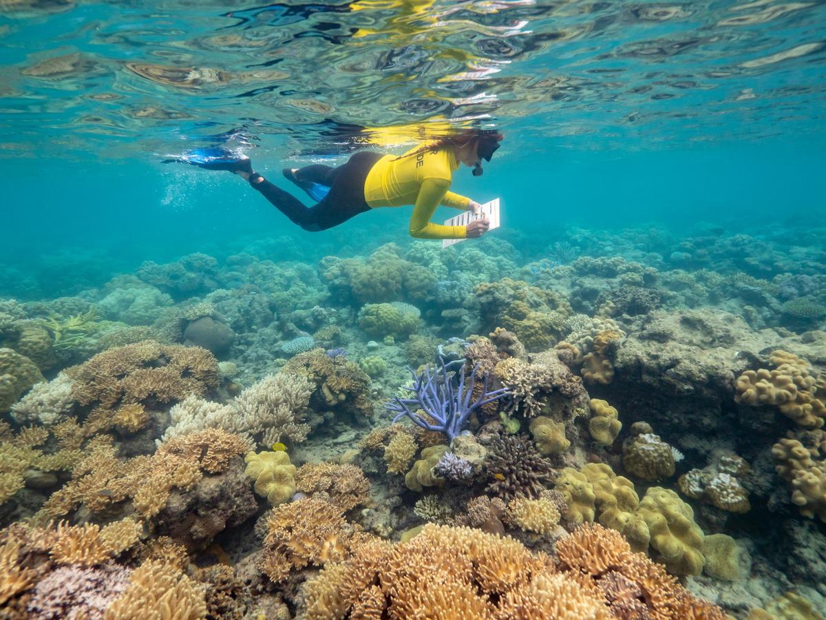 Coral Futures Expedition Presented by The Australian Geographic Society