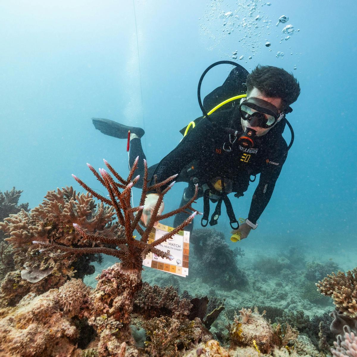 Coral Futures Expedition Presented by The Australian Geographic Society