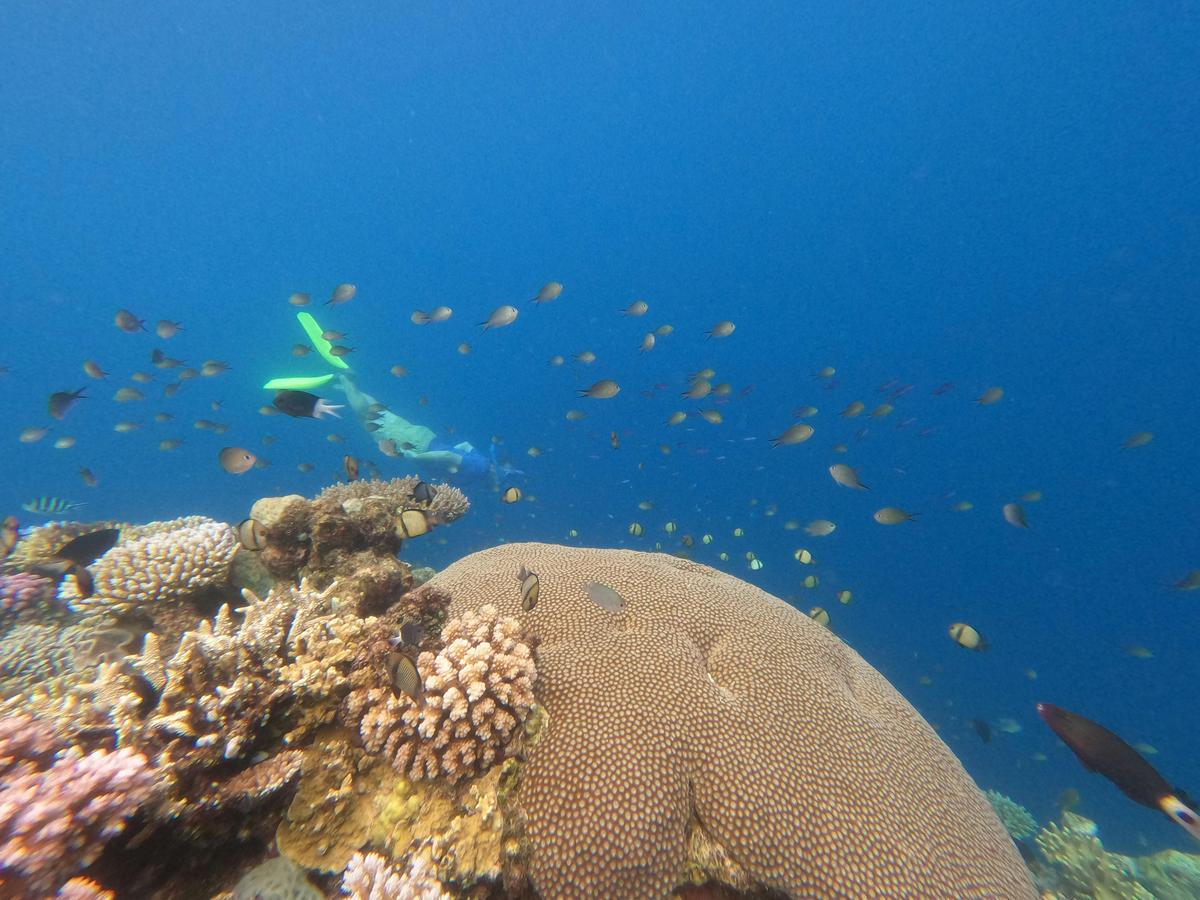 Outerknown Adventures on the Great Barrier Reef | Cairns to Cairns | 7 Nights