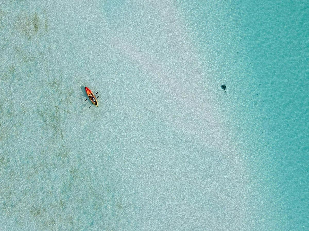 Coastal Adventures: Great Barrier Reef