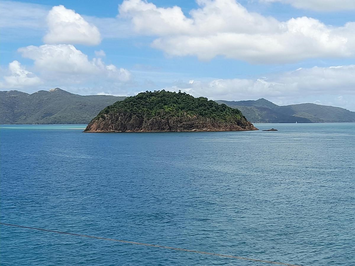 Science & Conservation on the Great Barrier Reef | Bundaberg to Cairns | 11 Nights