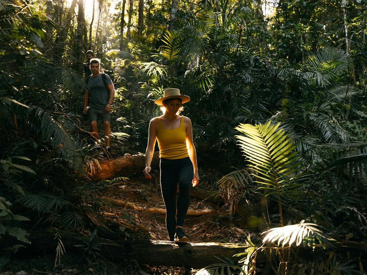Coastal Adventures: Great Barrier Reef