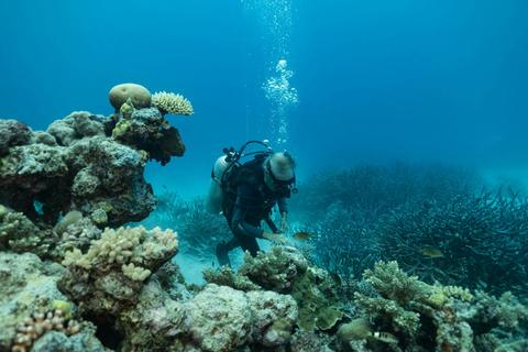 Coral Futures Expedition Presented by The Australian Geographic Society