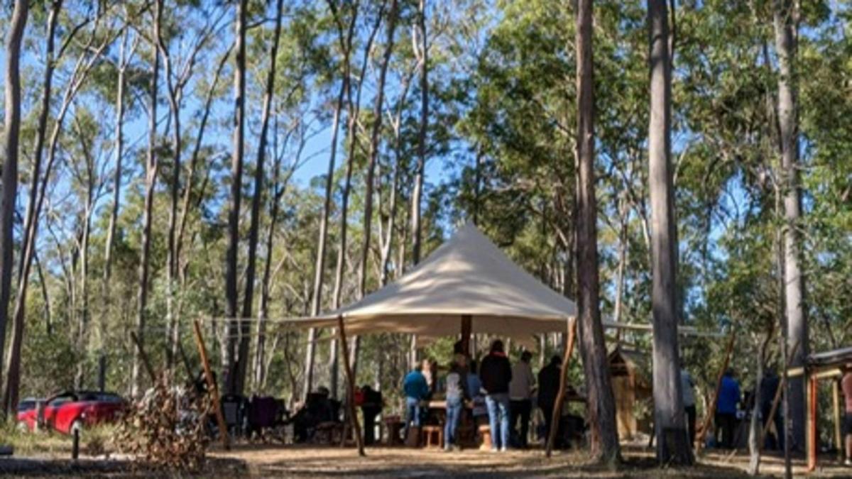 Circles In The Forest bush camp