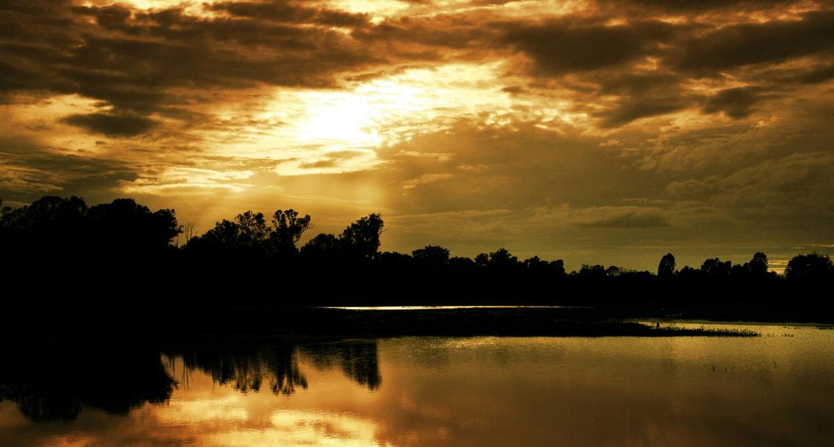 Chinchilla Weir