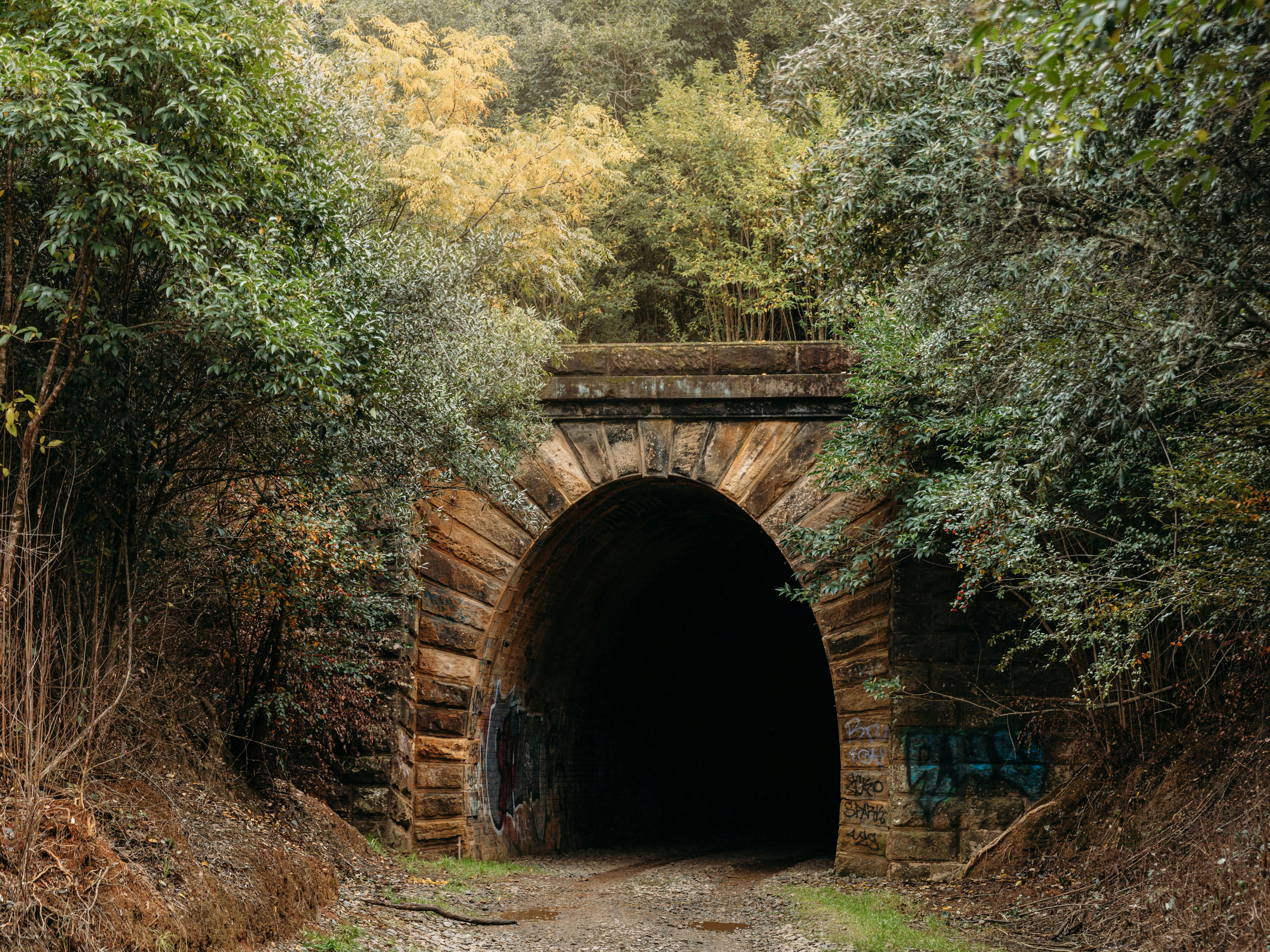 opening of the Mushroom Tunnel