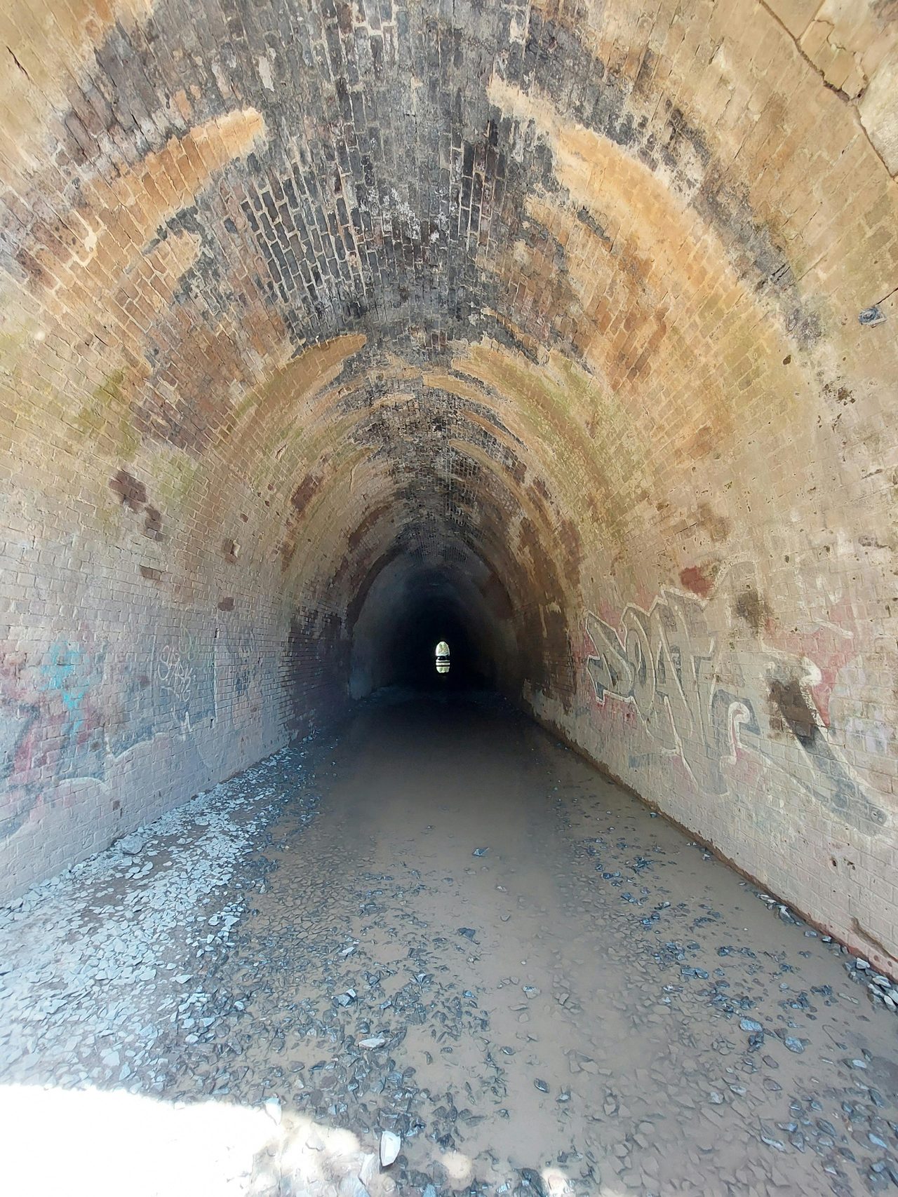 Mushroom Tunnel
