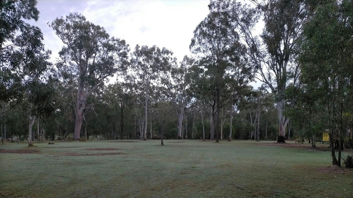 Chestnut Farm