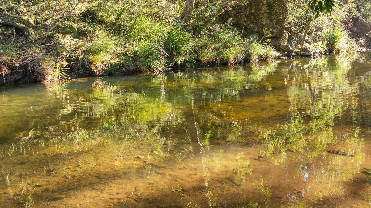 Creek View Place