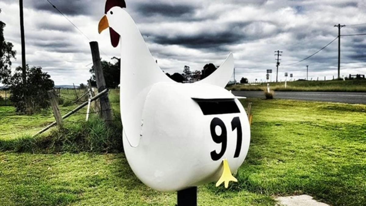 Chookhouse Farmstay Vale View