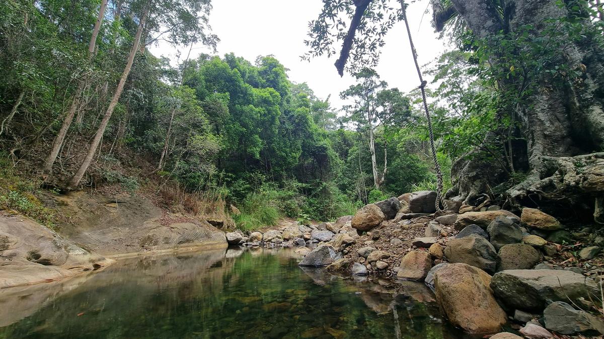 the pristine waters of cave creek