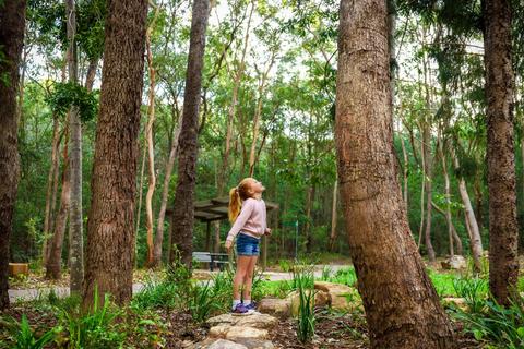 Denmark Hill Conservation Reserve