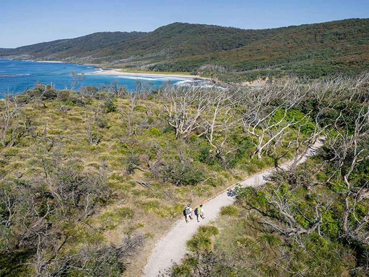Aerial view of walkers on Snapper Point walking track. Credit: John Spencer &copy; DCCEEW