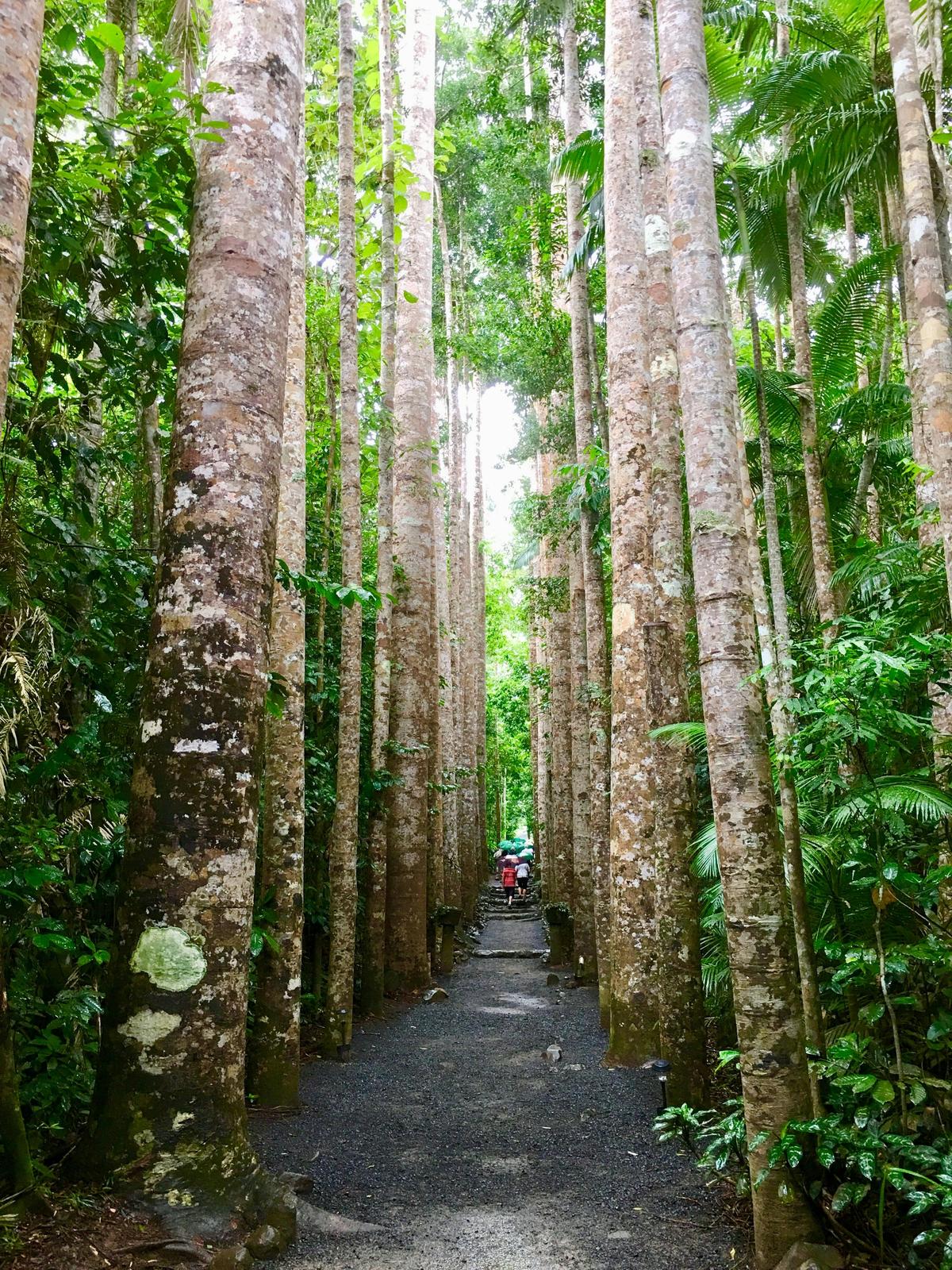 Paronella Park