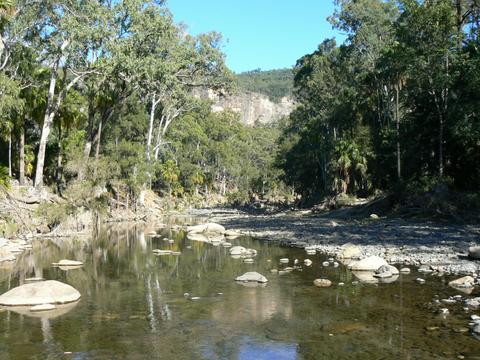 Carnarvon Gorge