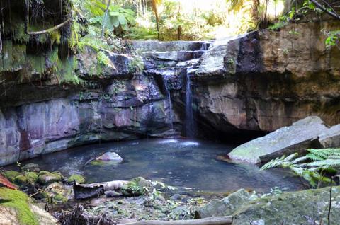 Carnarvon Gorge