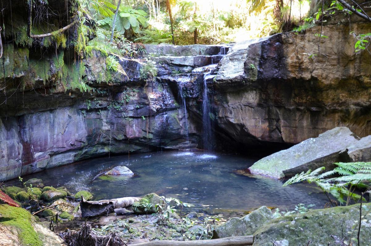 Carnarvon Gorge