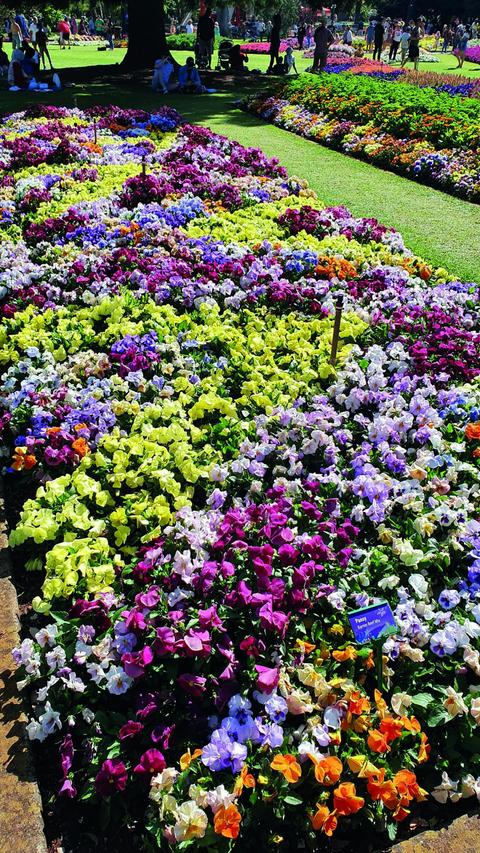 Toowoomba Parks and Gardens