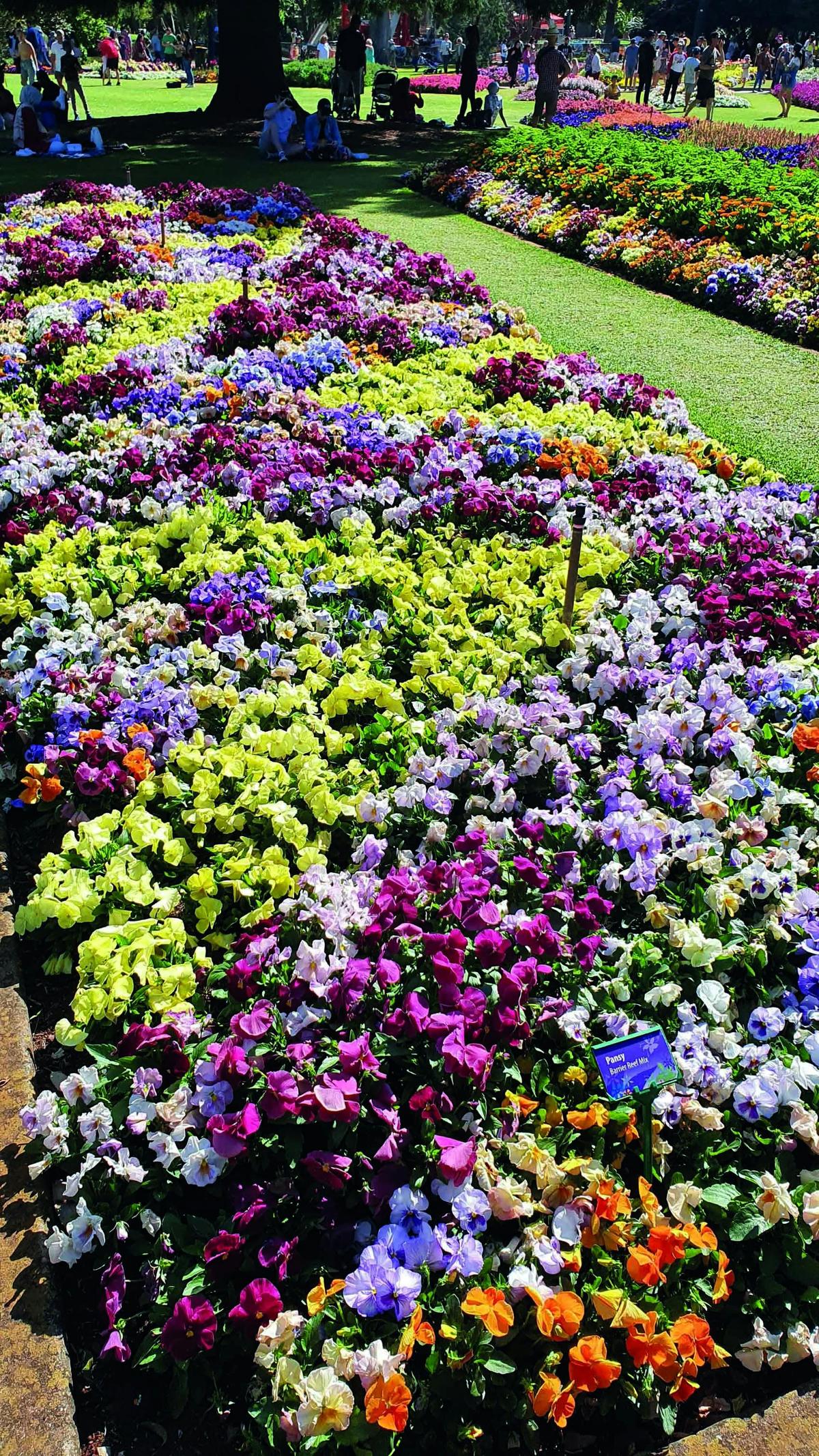 Toowoomba Parks and Gardens