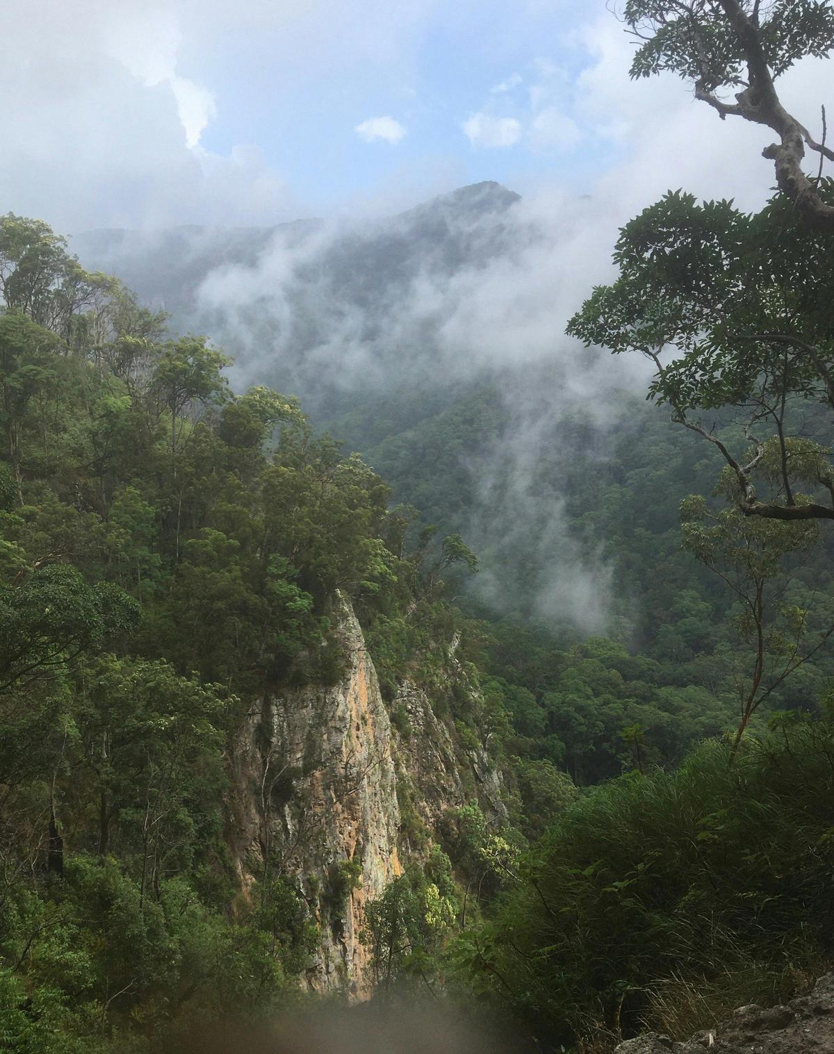 Caves Walk, Binna Burra