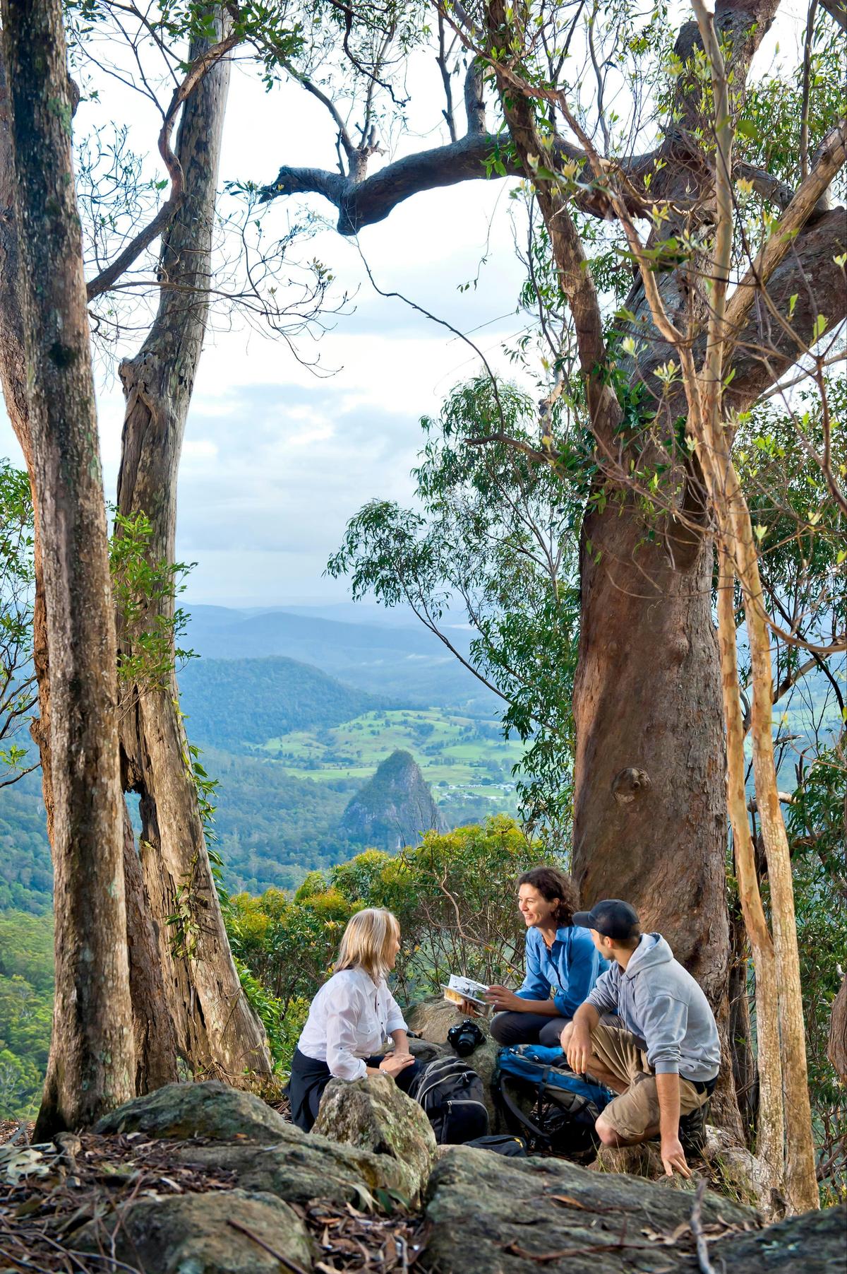 Lamington National Park Outlook