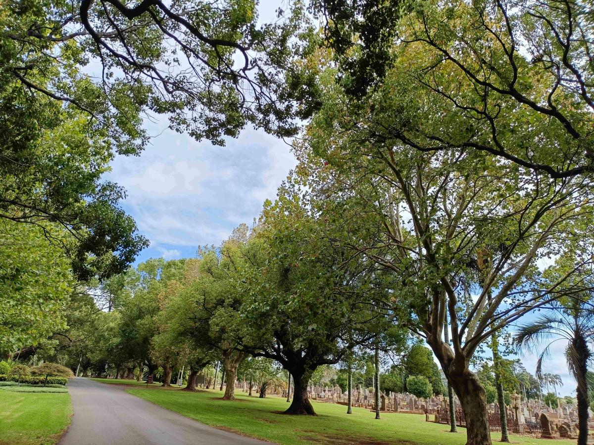 Easy Access Cemetery Tour