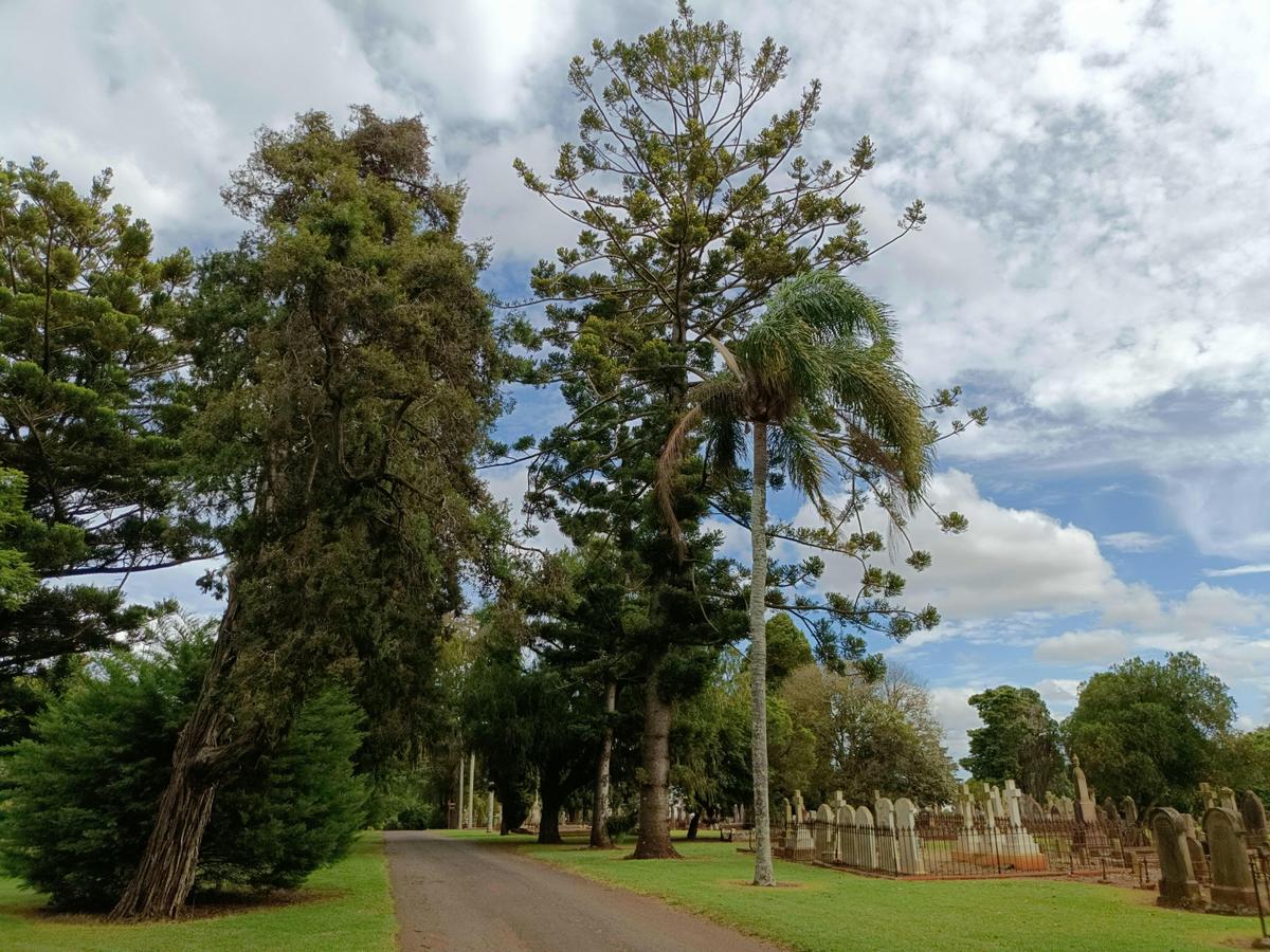 Historic graves dwarfed by magnificent trees