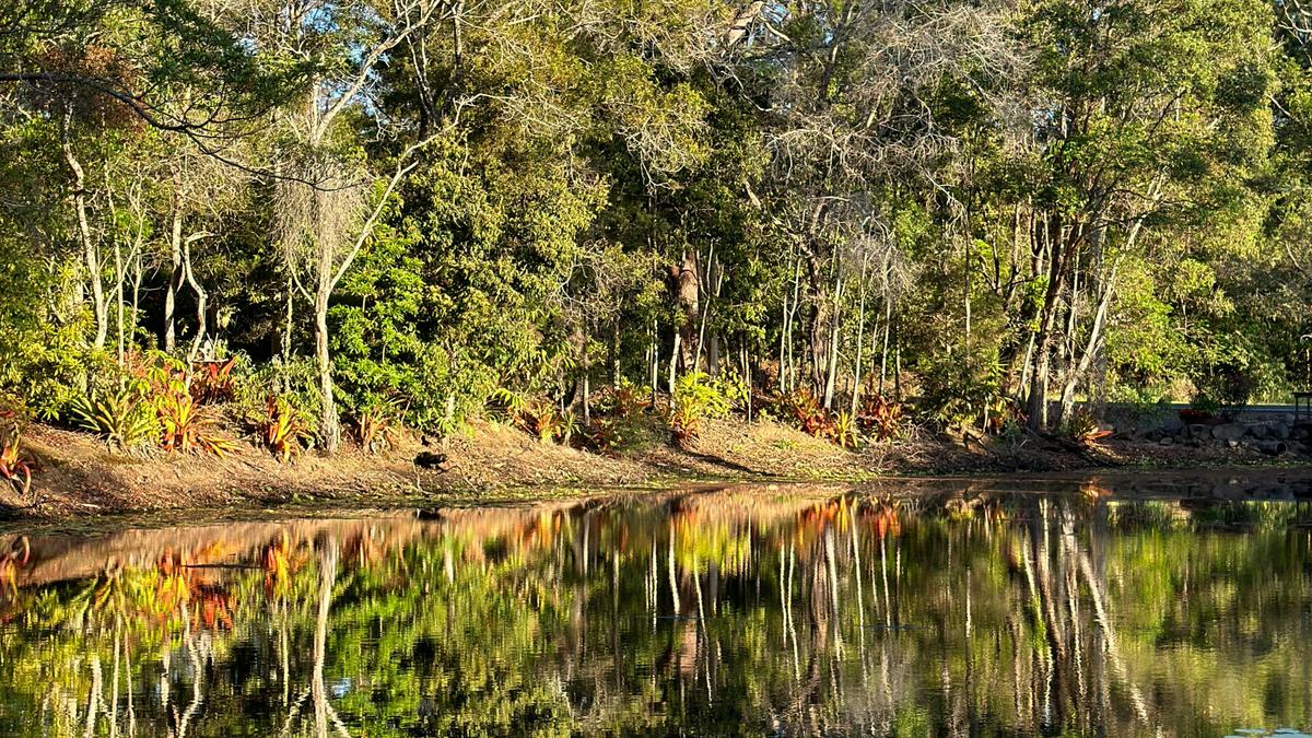 Cooroy Caravan Park