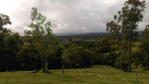 Clearview