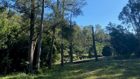 Conondale Valley Farm