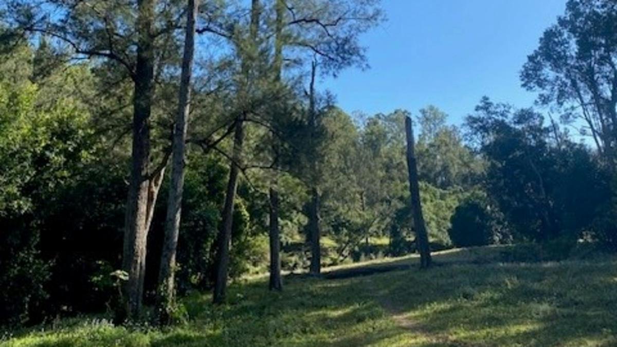 Conondale Valley Farm