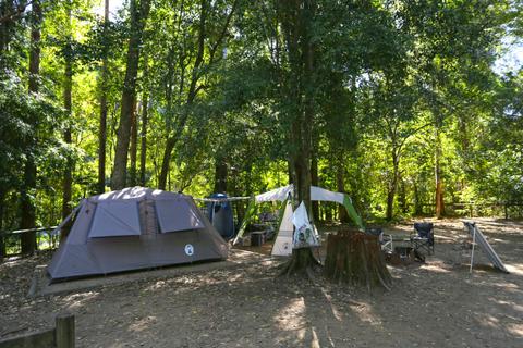 Conondale National Park