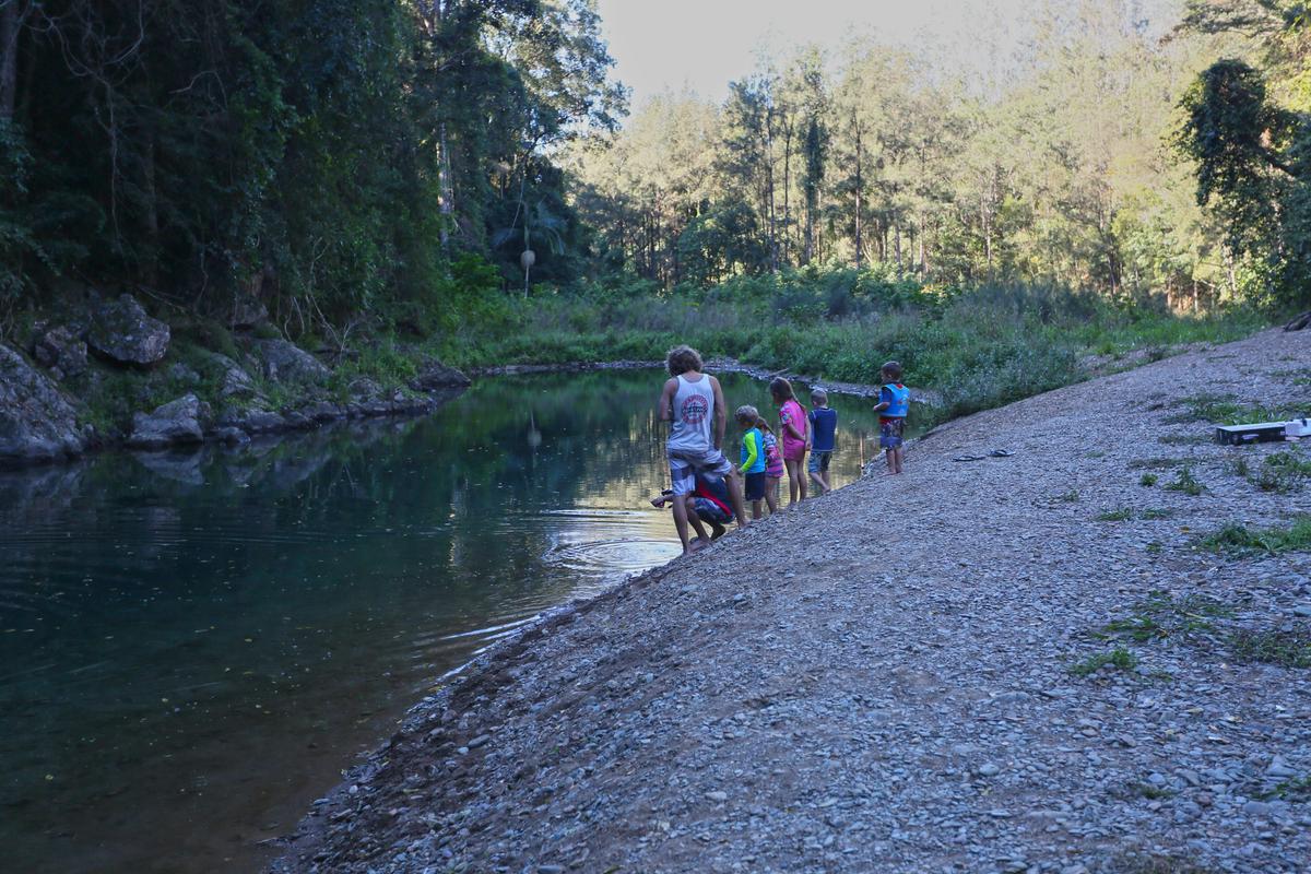 Booloumba Creek, Conondale National Park